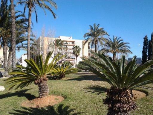 Primera Linea En Playa Sur. Plaza Constitucion Peñiscola Zewnętrze zdjęcie